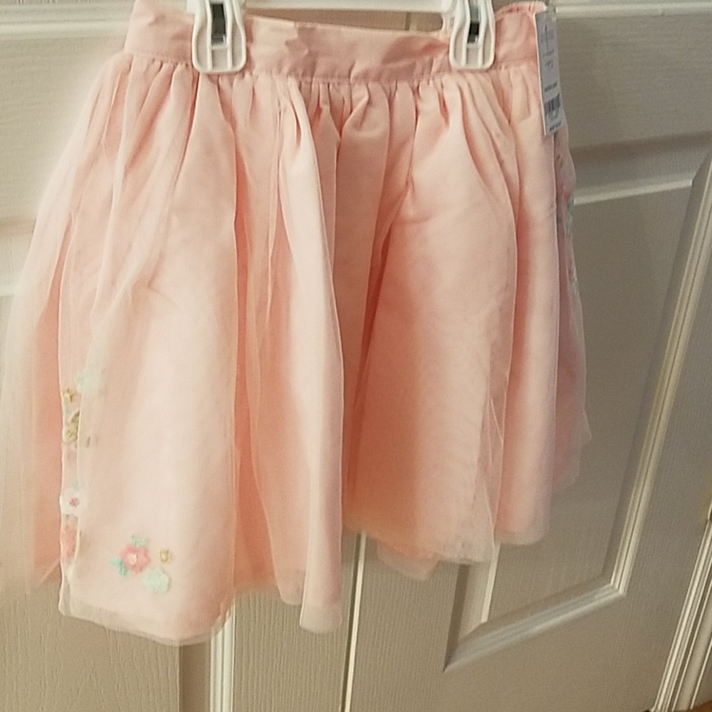 Adorable Carter's Tulle Skirt with Embroidery